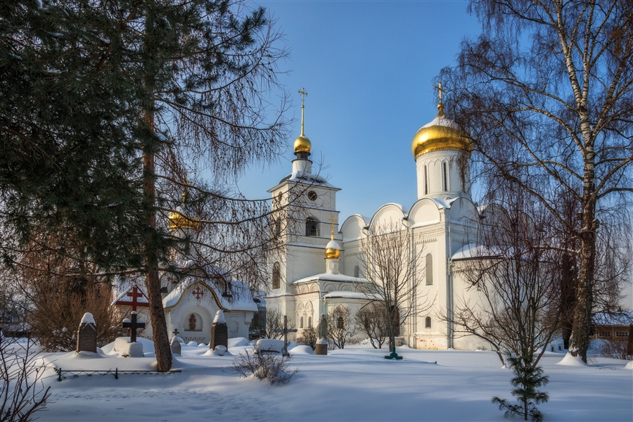 Фото жизнь