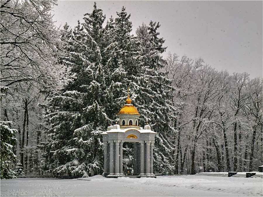 Фото жизнь