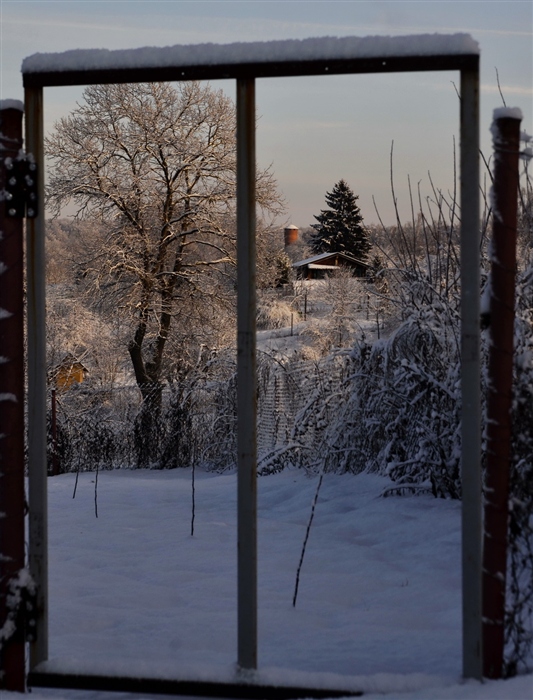 Фото жизнь
