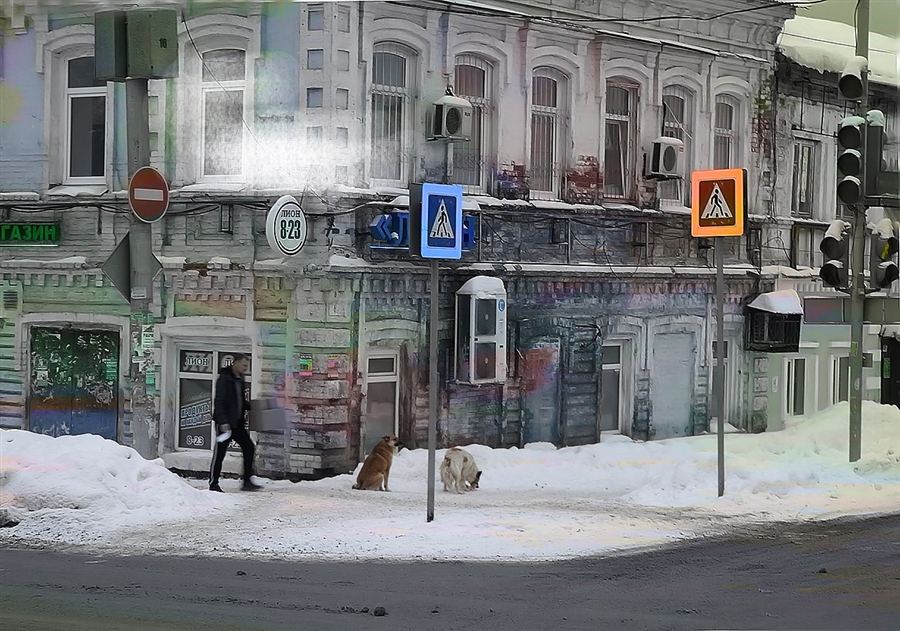 Фото жизнь