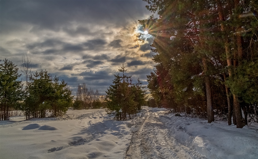 Фото жизнь