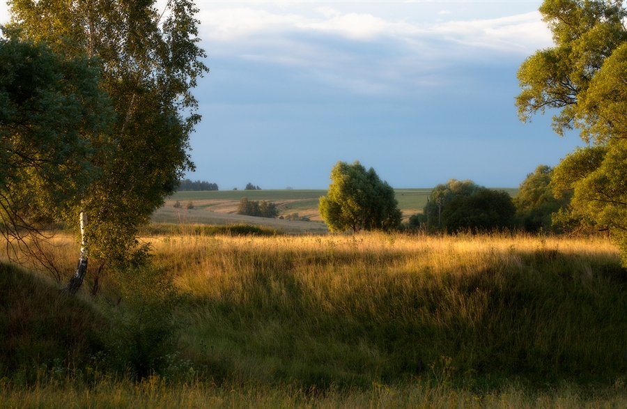 Фото жизнь