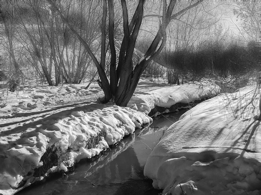 Фото жизнь