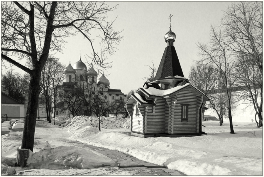 Фото жизнь