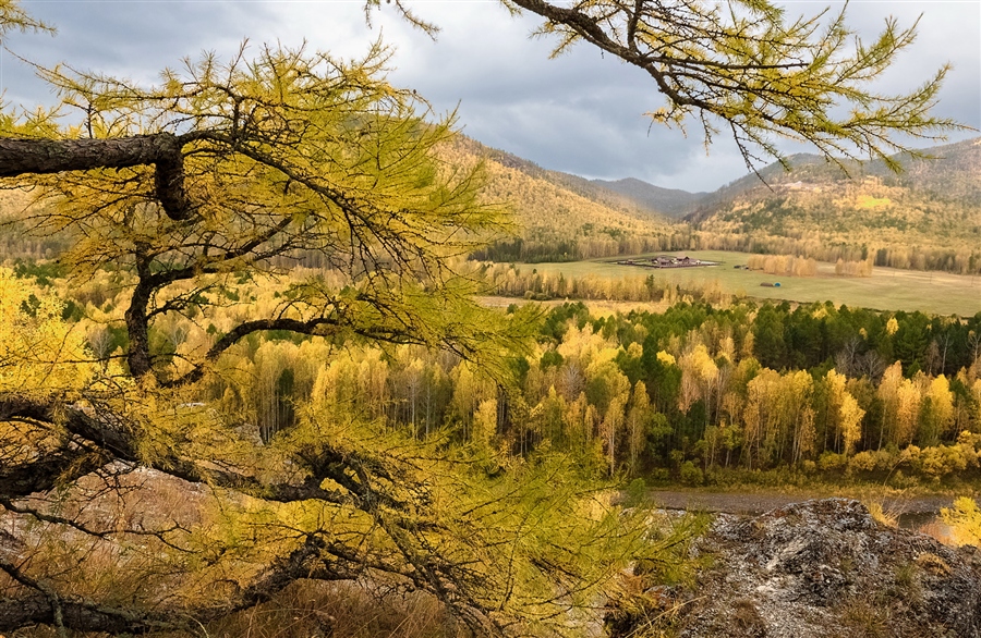 Фото жизнь