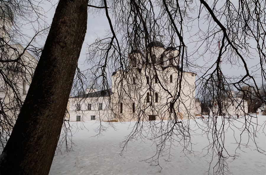 Фото жизнь