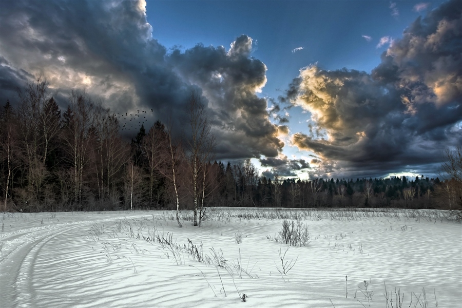 Фото жизнь