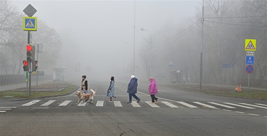 Фото жизнь