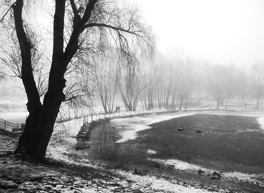 Фото жизнь