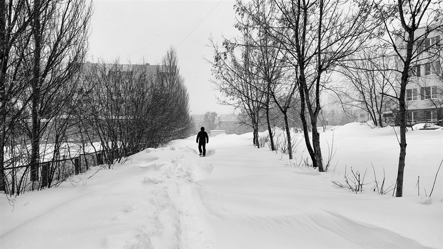 Фото жизнь