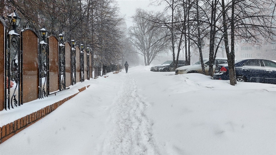 Фото жизнь