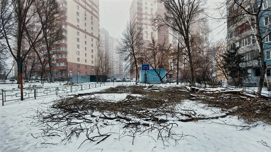 Фото жизнь