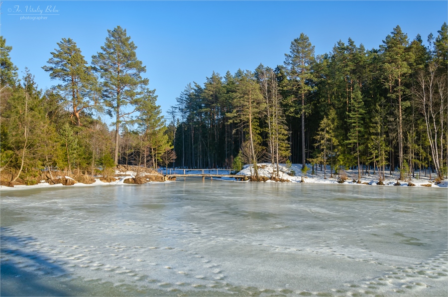 Фото жизнь