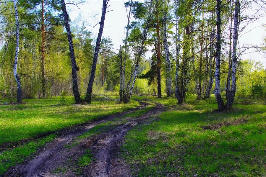 Фото жизнь