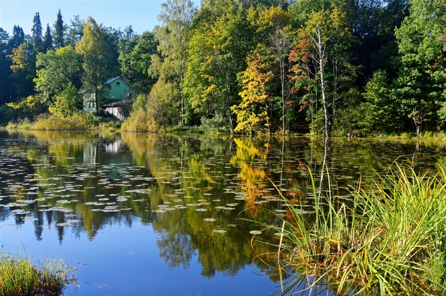 Фото жизнь