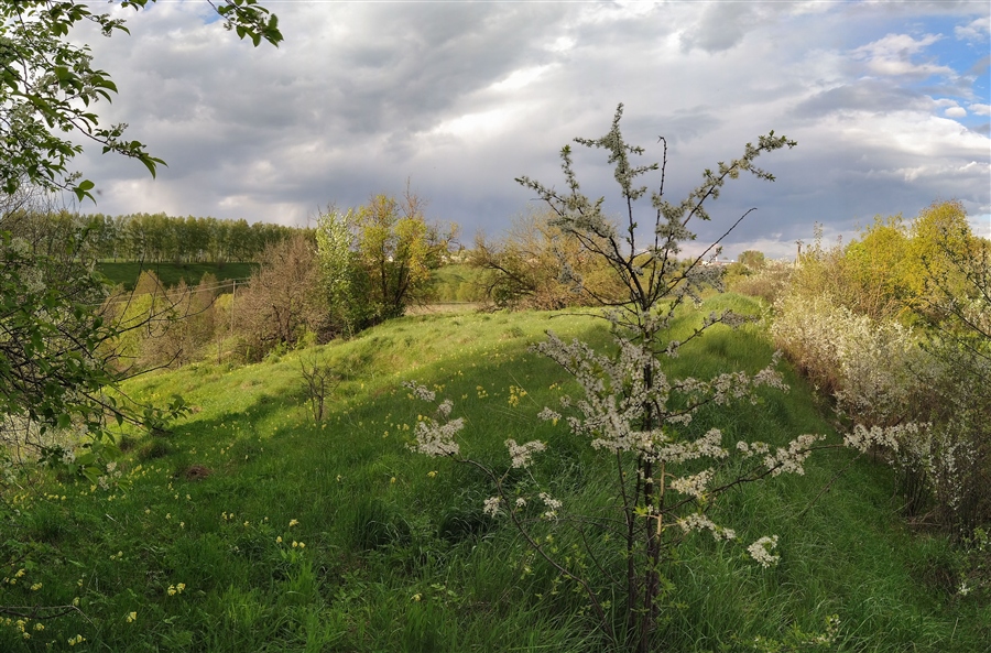 Фото жизнь