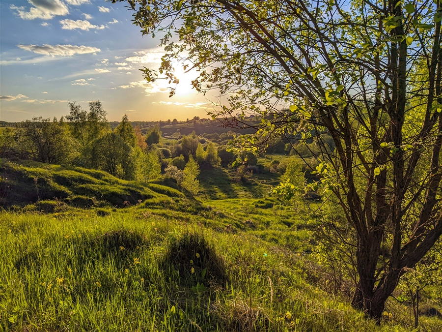 Фото жизнь