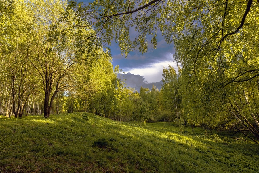 Фото жизнь