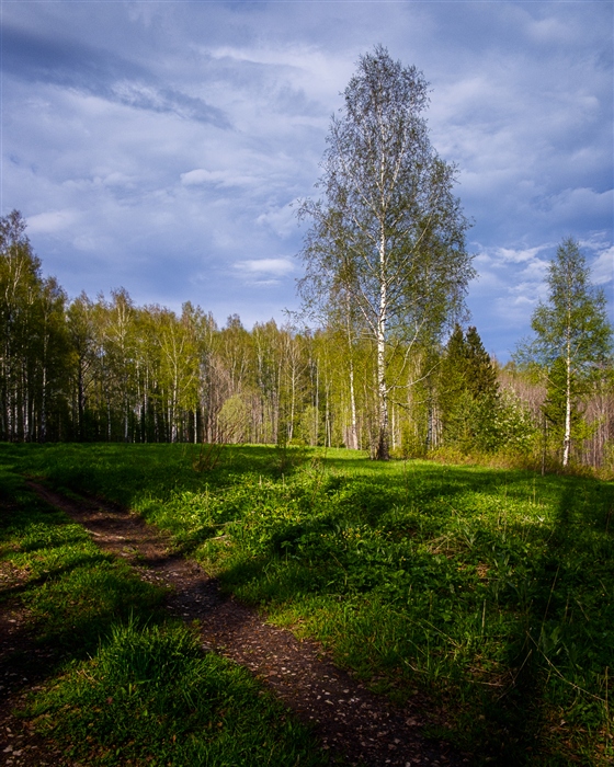 Фото жизнь