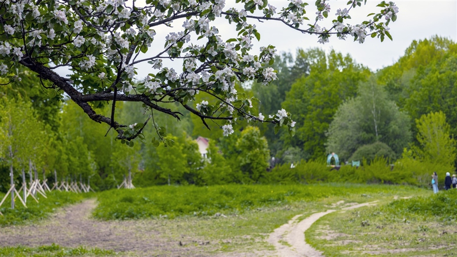 Фото жизнь