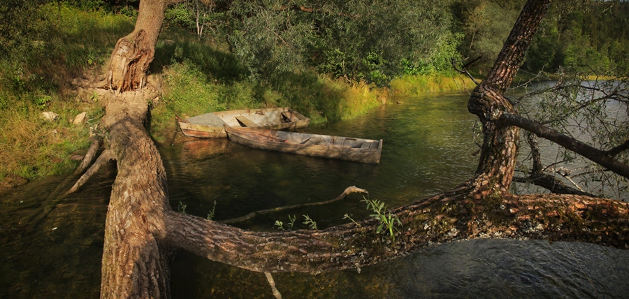 Фото жизнь