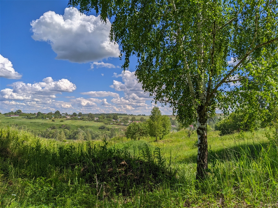 Фото жизнь