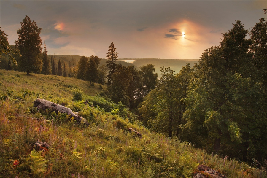 Фото жизнь