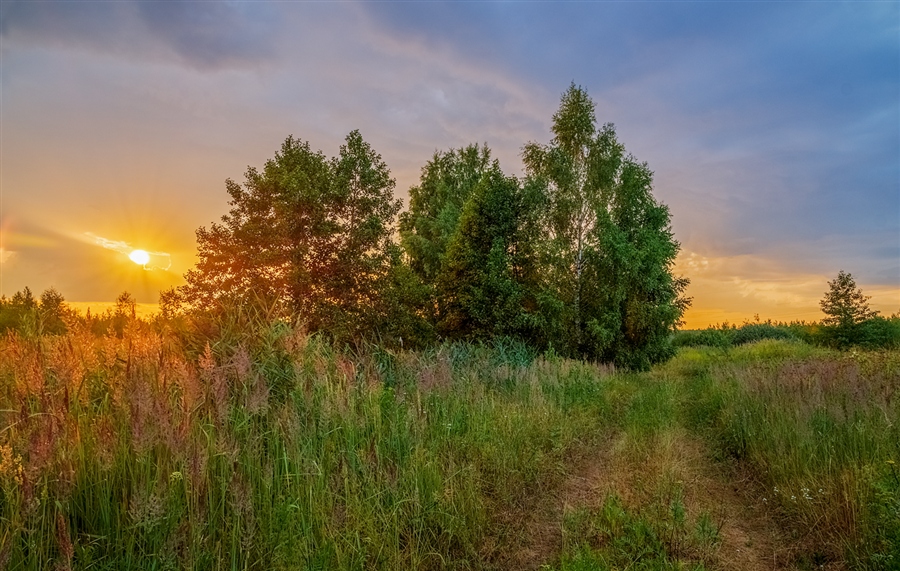 Фото жизнь