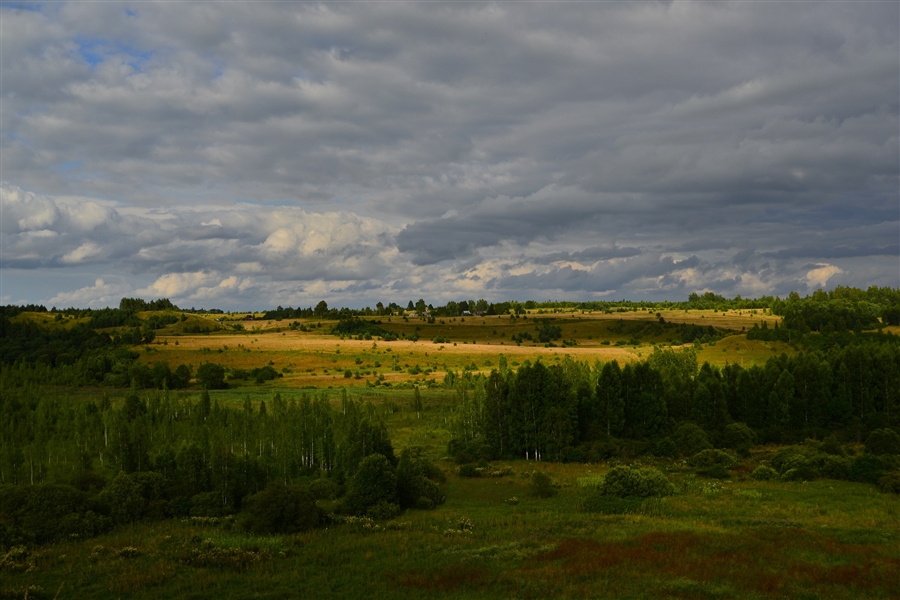 Фото жизнь