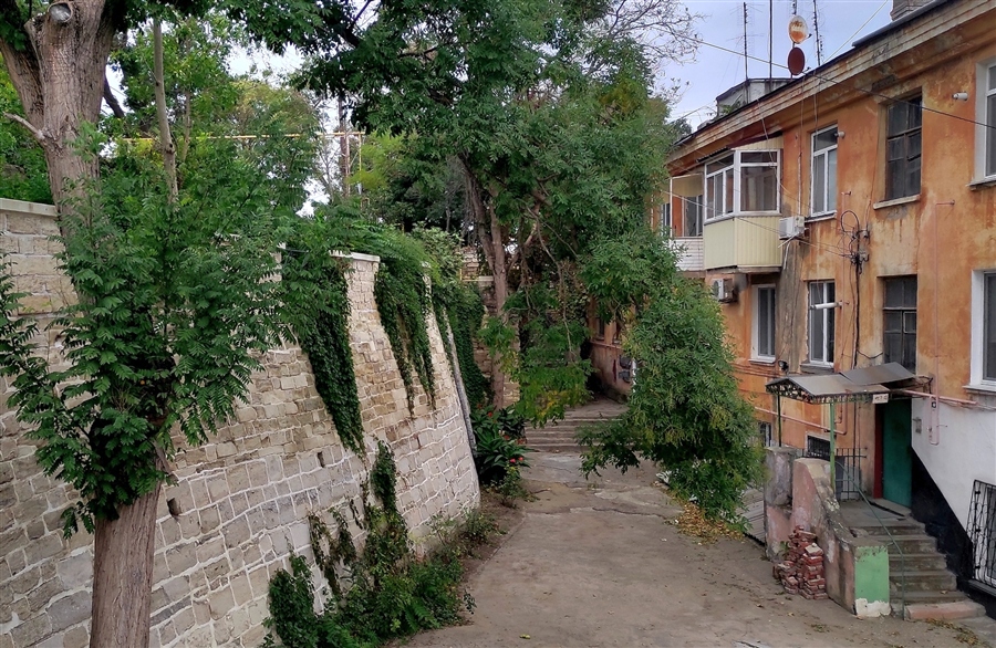 Фото жизнь