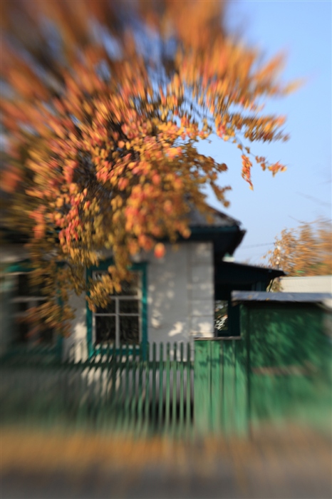 Фото жизнь