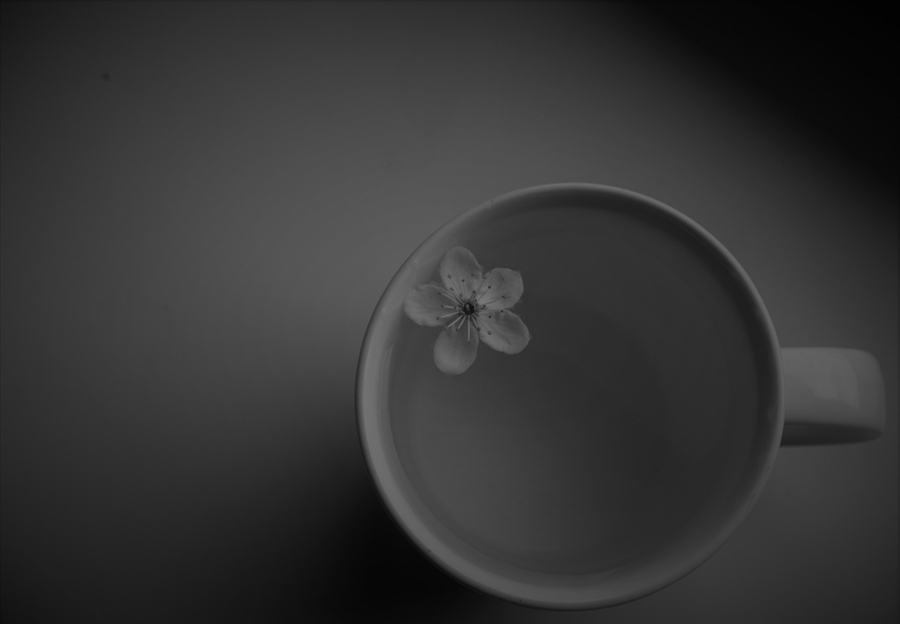 Фото жизнь (light) - Blue_Eyes - корневой каталог - просто 