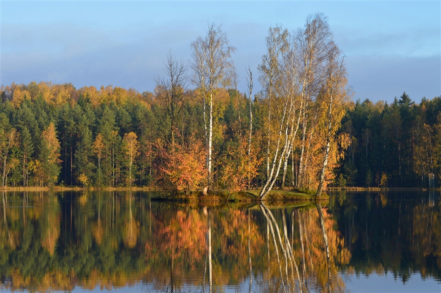 Фото жизнь