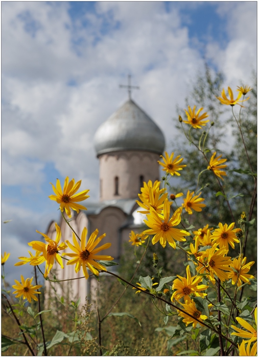 Фото жизнь