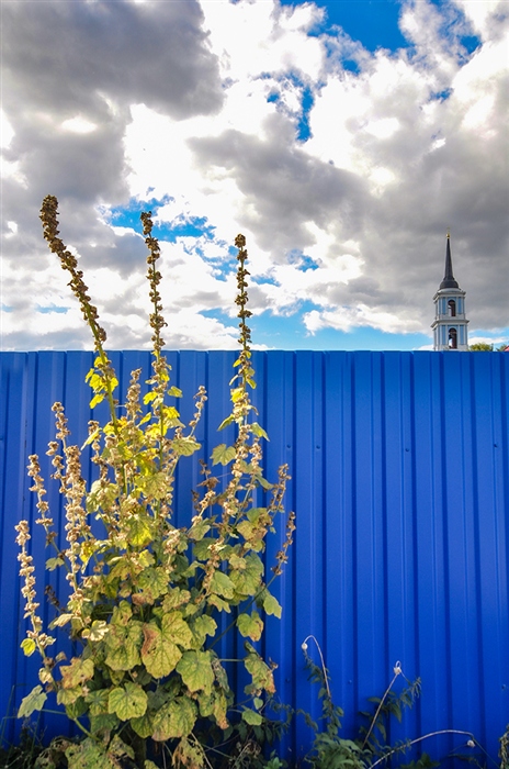 Фото жизнь