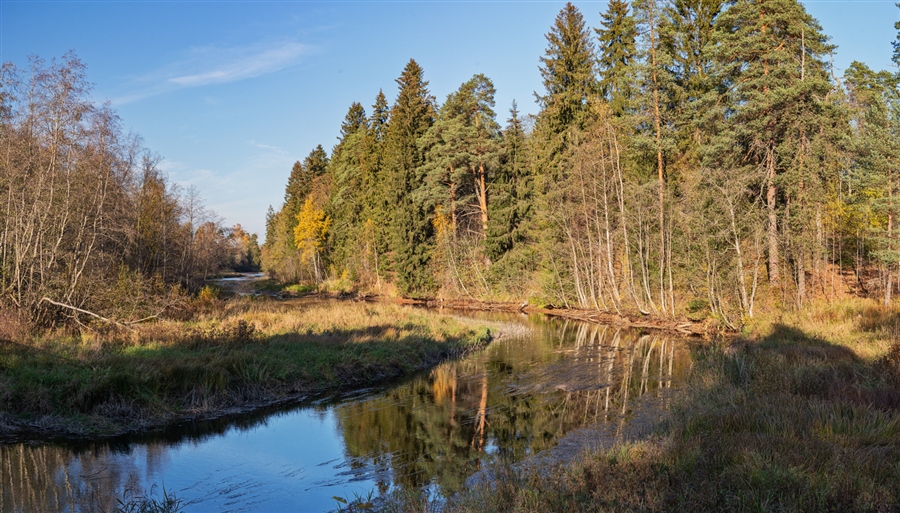 Фото жизнь