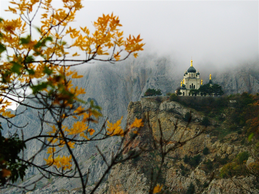 Фото жизнь