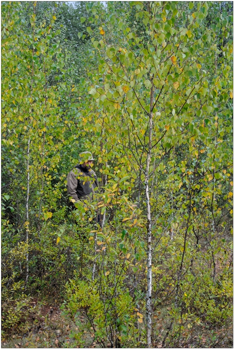 Фото жизнь
