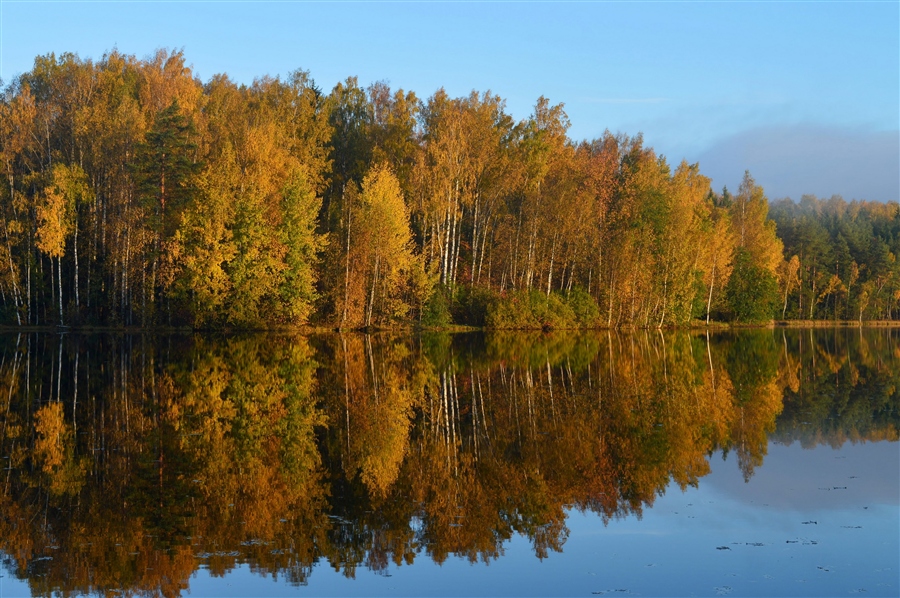 Фото жизнь