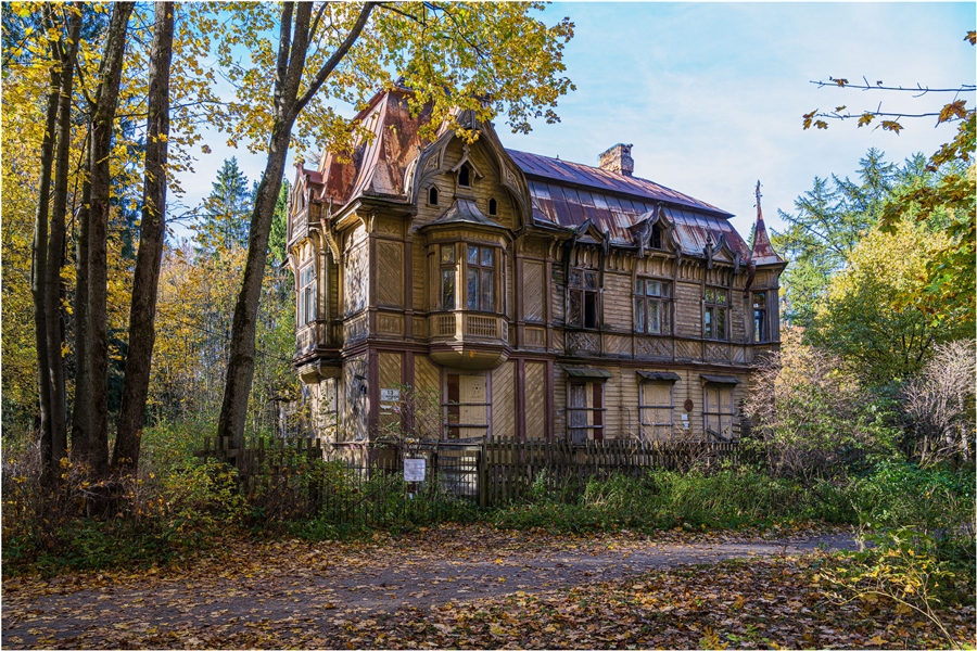 Фото жизнь