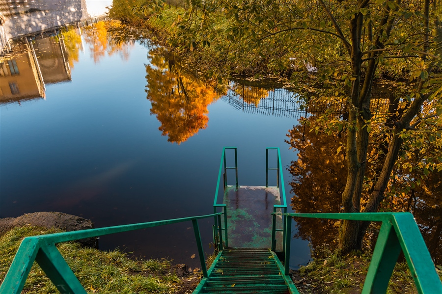 Фото жизнь