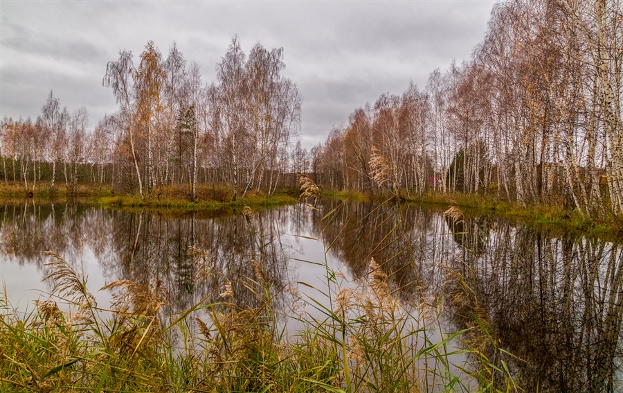 Фото жизнь