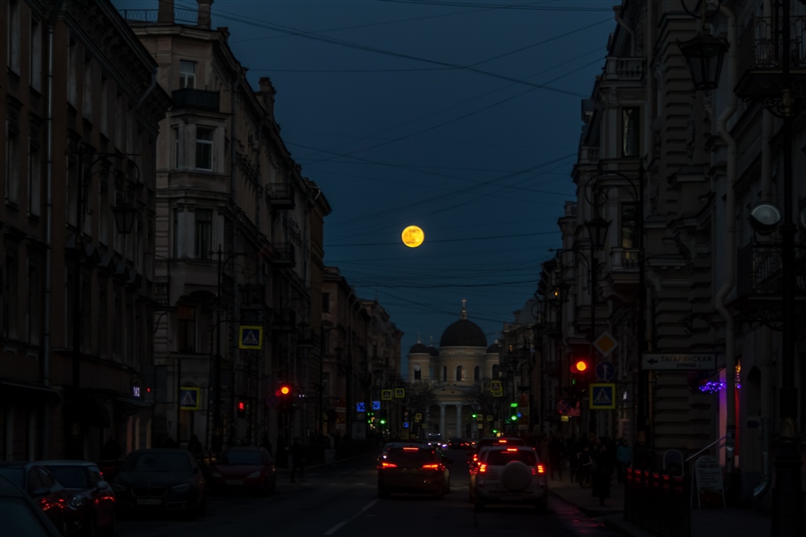 Фото жизнь
