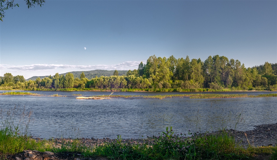 Фото жизнь