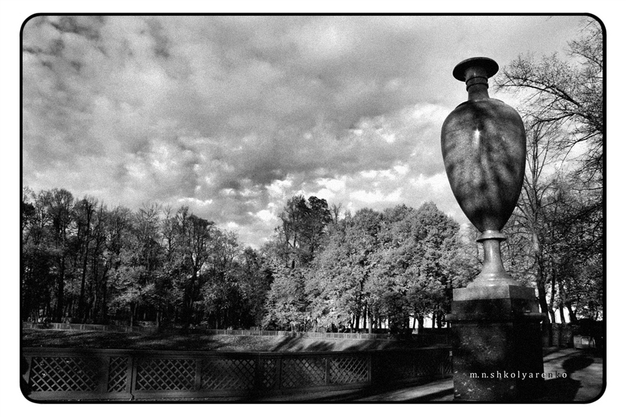 Фото жизнь