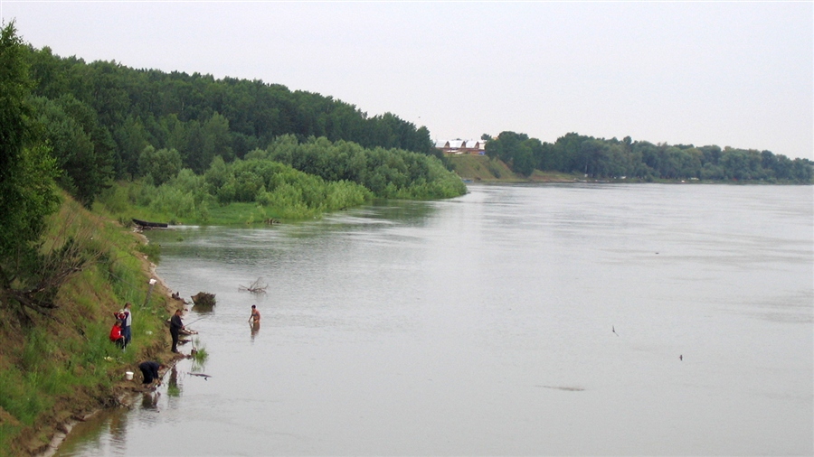 Фото жизнь