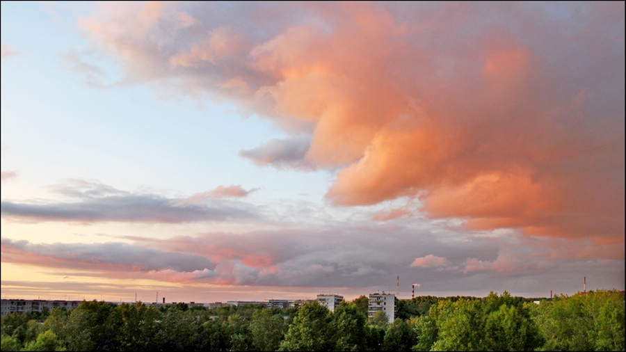 Фото жизнь