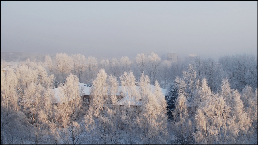 Фото жизнь