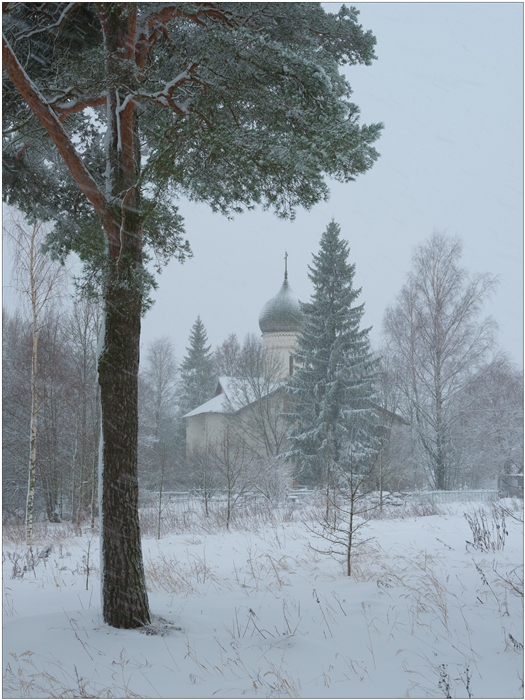 Фото жизнь