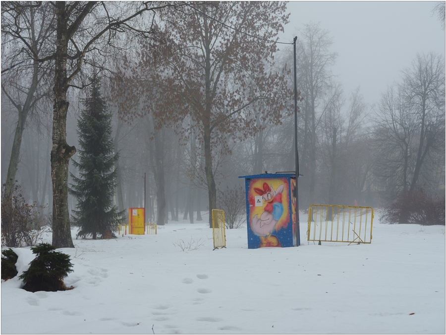 Фото жизнь